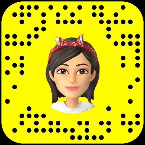 Snapchat-376499512