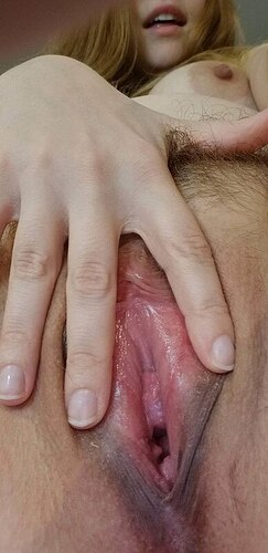 a27e529d44ff390eea8522dfc03ddac6e40d5058_2_390x800