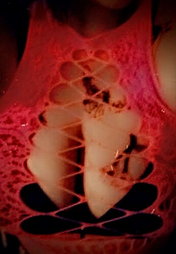 Snapchat-1014459210~3