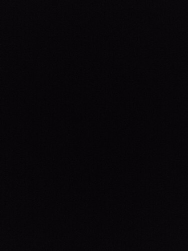 1000001184