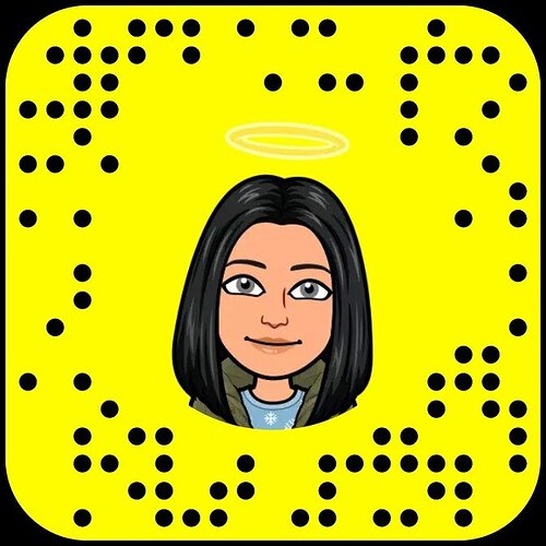 Snapchat-366473363