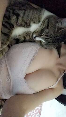 jennadeepthroat_1488666832819
