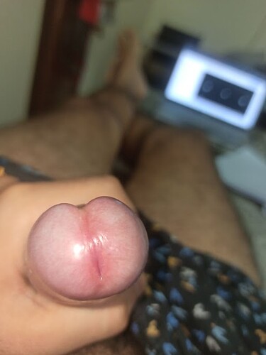 hubbylund2