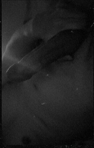 Screenshot_20220215-073928__01