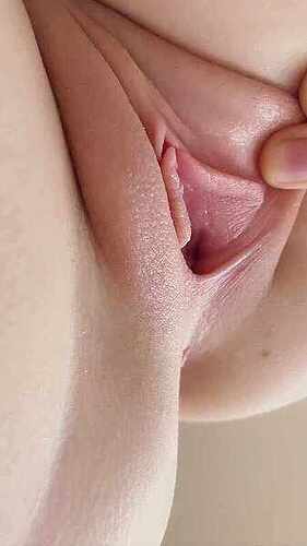 125bcce78531b0eb3453ea1dfb64a2ffbb34e859_2_338x600