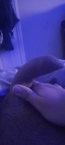 1000000236