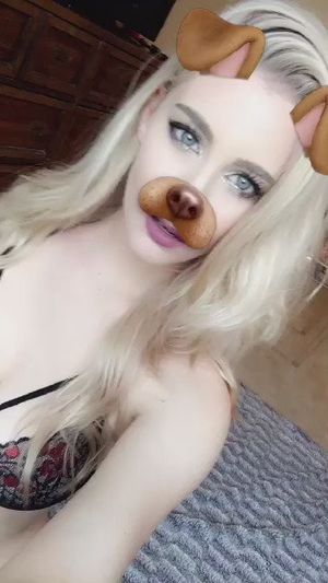 18252865