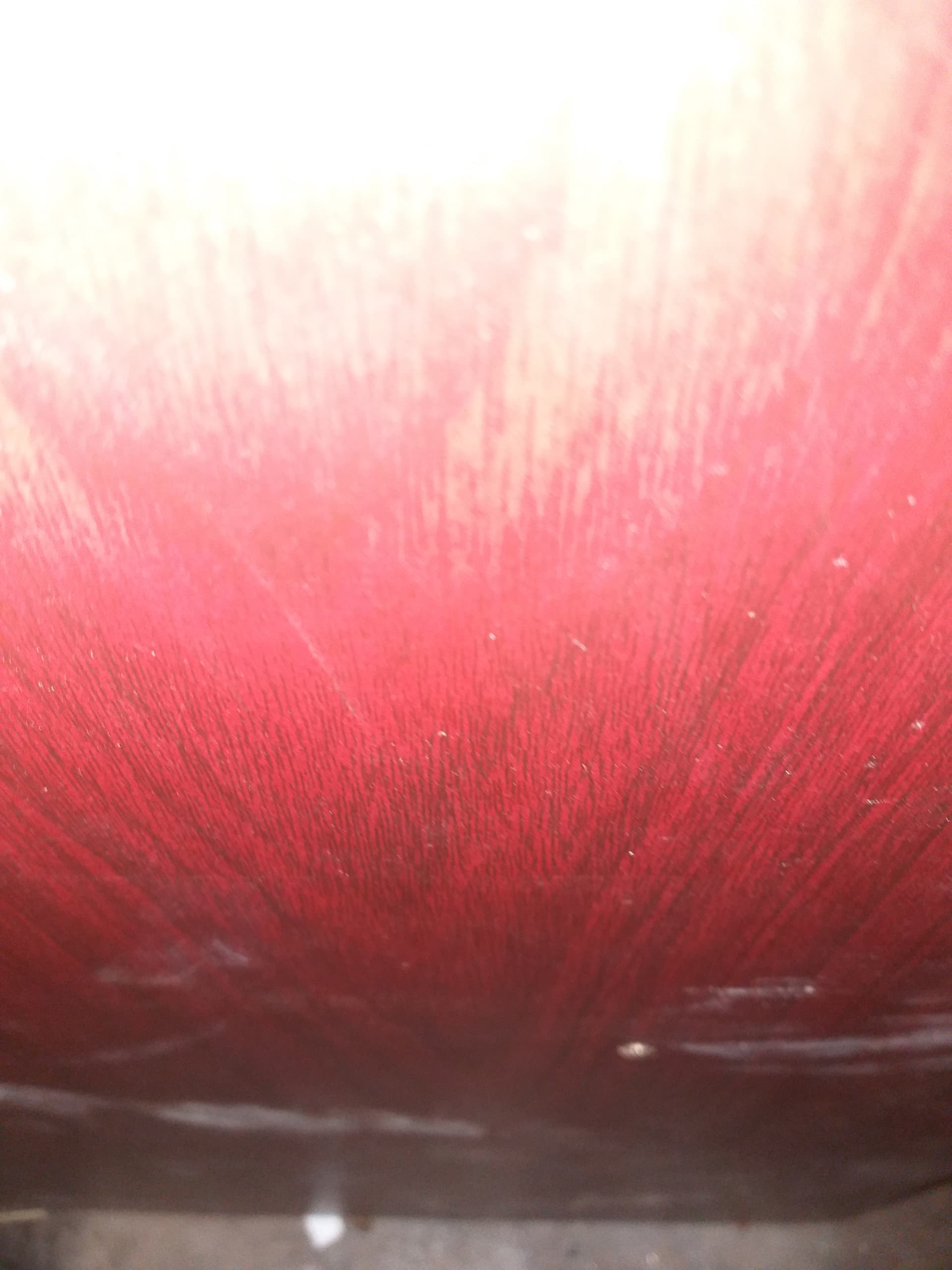 1629038560385.