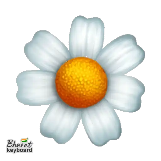 WebPForEmojisbigmoji-faacd479-3898-41c8-9b2a-05319e136563