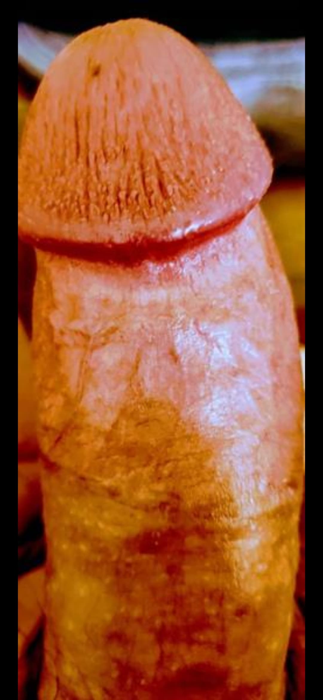 Screenshot_20240905_120516_Photos
