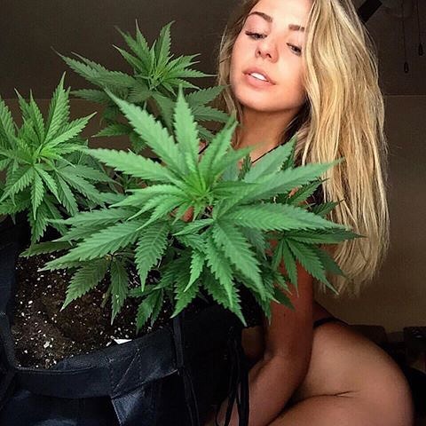 little.herb.lover.4real-20201206-0004
