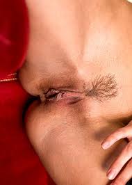 images (7)